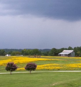 Wake Forest, NC, barn